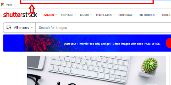 How to Download Shutterstock Images Free Without Watermark in 2022