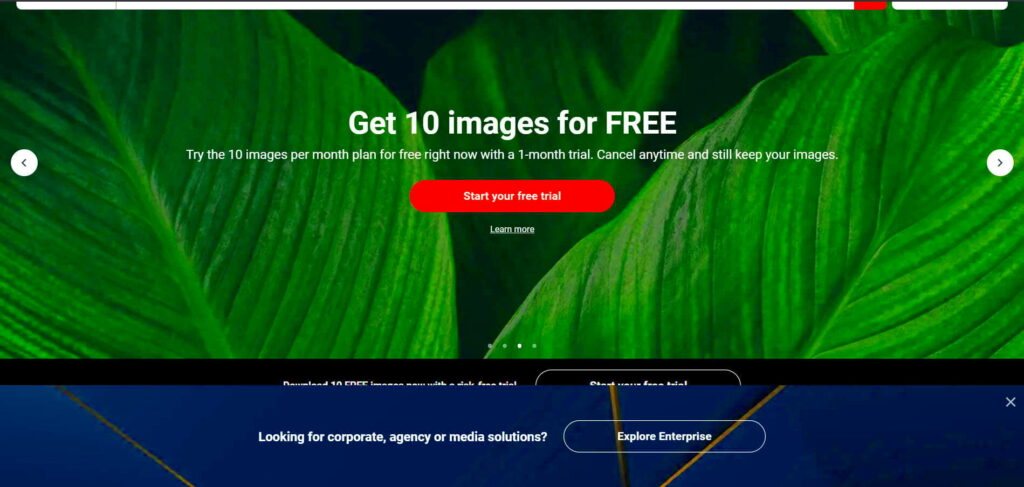 How To Get Shutterstock Images For Free Without Watermark