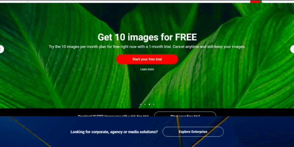 How To Get Shutterstock Images For Free Without Watermark