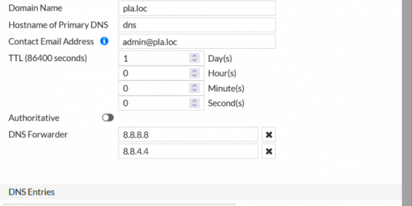 Using FortiGate as a DNS Server  UNBLOG Tutorials