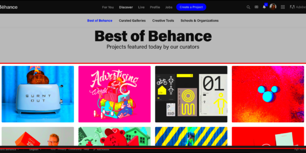 Cara Download Di Behance  Materi Belajar Online