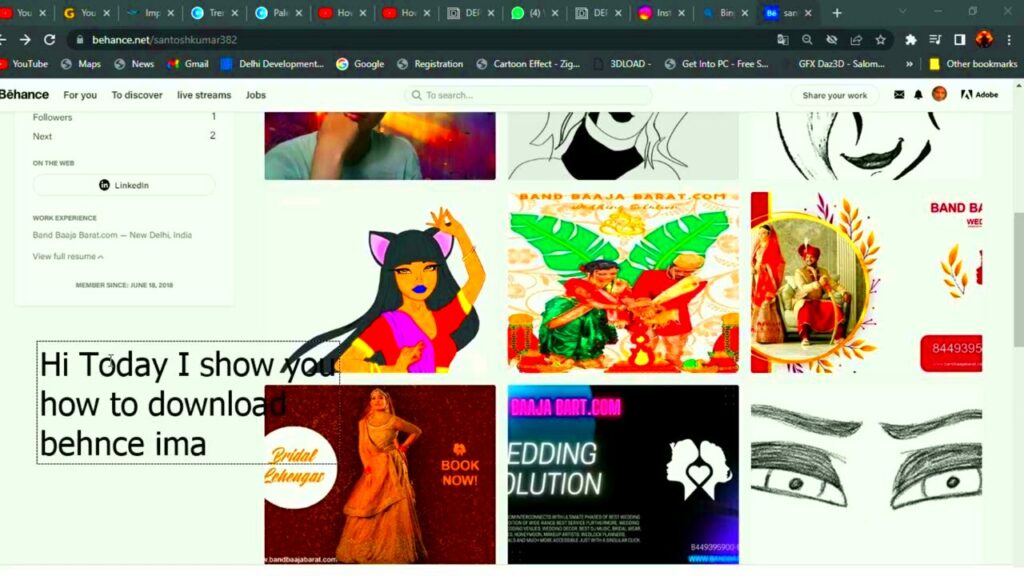 Behance project download process