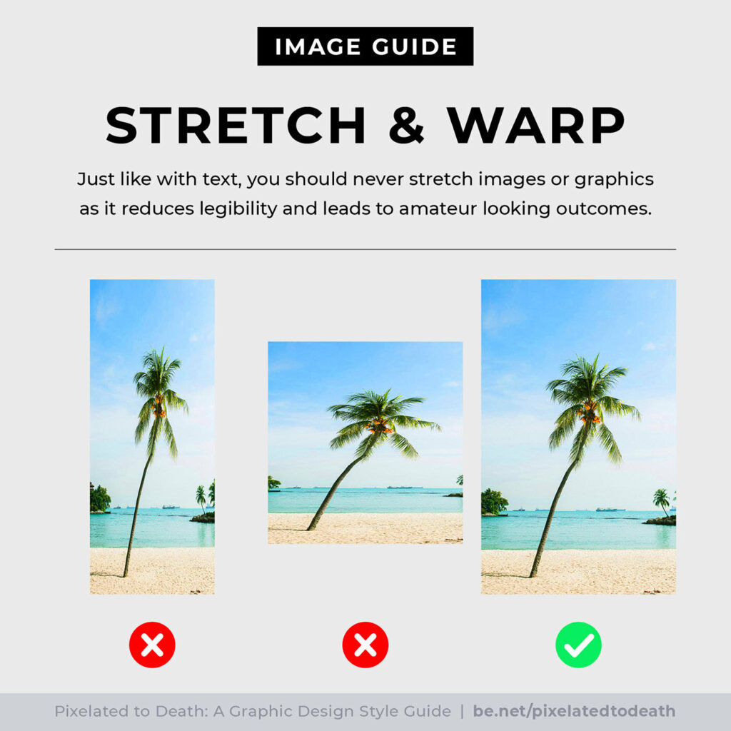 Behance photo download guide