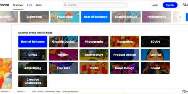 How to Build Your First Behance Portfolio